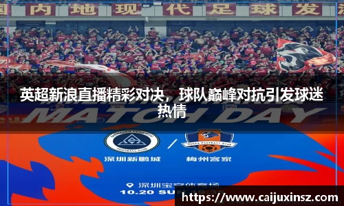 英超新浪直播精彩对决，球队巅峰对抗引发球迷热情
