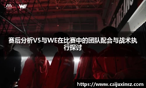 赛后分析V5与WE在比赛中的团队配合与战术执行探讨