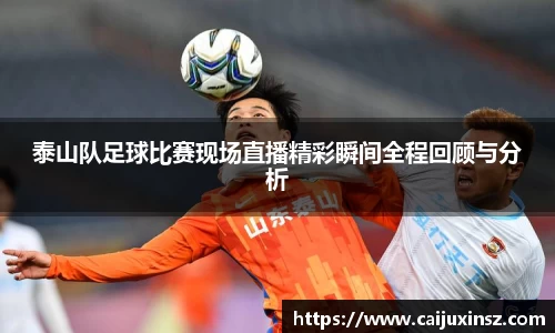 泰山队足球比赛现场直播精彩瞬间全程回顾与分析